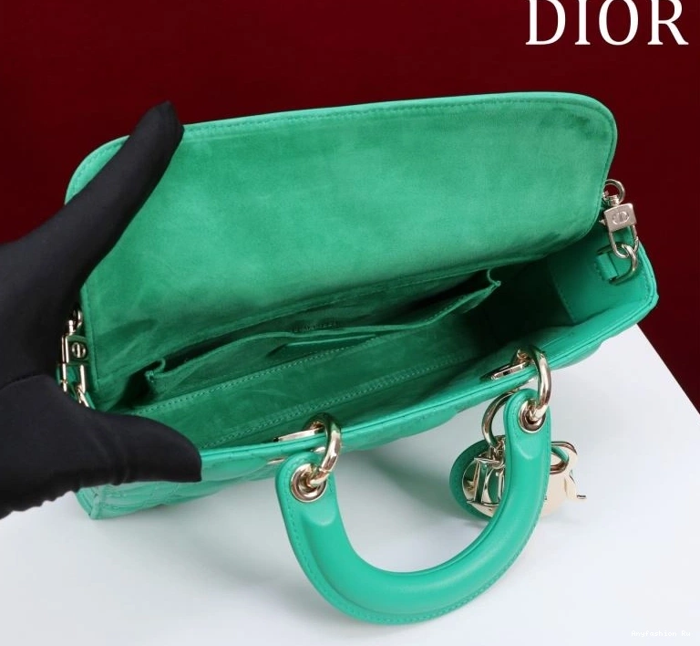 71064 Christian Dior Original My Lady Bags 0813